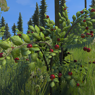 BerryBushes.png