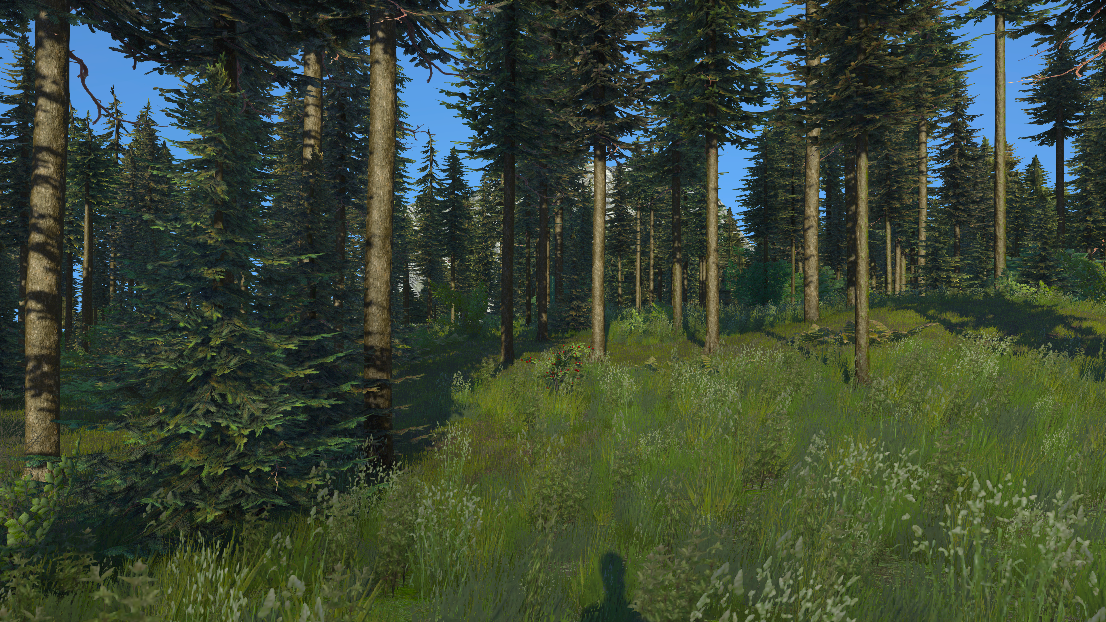 File:ForestBiome.png