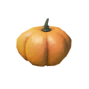File:Pumpkin.png