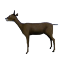 SpawnDeer.png