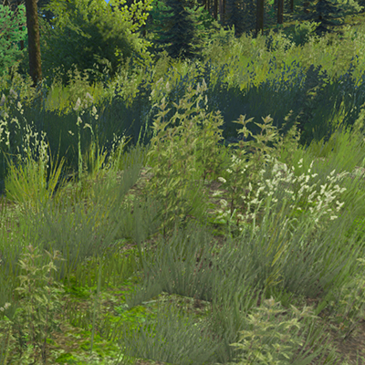 File:Woods grass.png