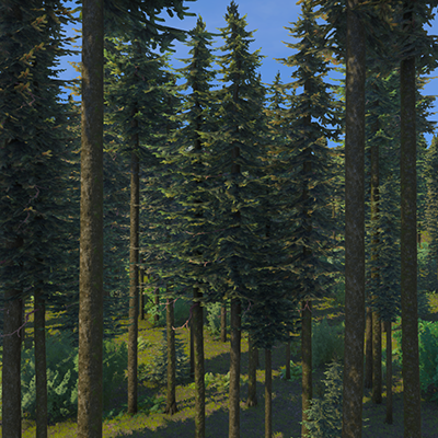 PineTrees.png