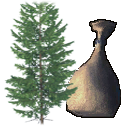 Seeds SpruceTree.png