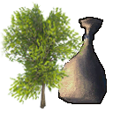 Seeds OakTree.png